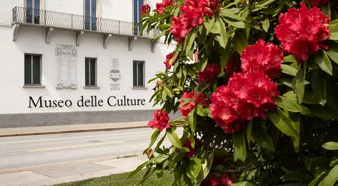 Photographie d’archive associée à Museum of Cultures (MUSEC)